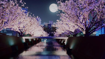 20044349_MotionElements_cherry-blossom_converted_a-0005